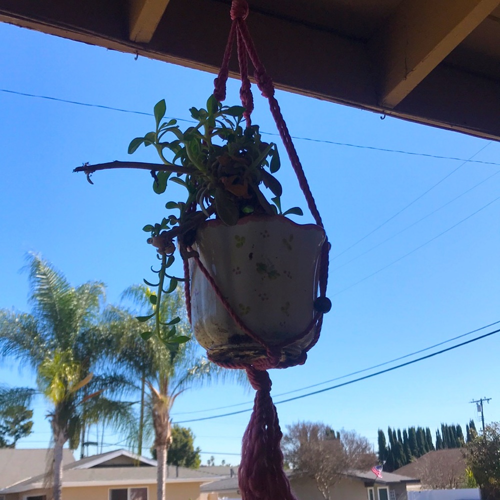 Three 30” macrame hand tied hangers mauve